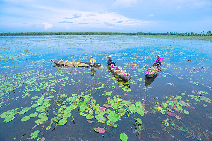 Floating water season in the South. Photo: Nguyen Van Hop